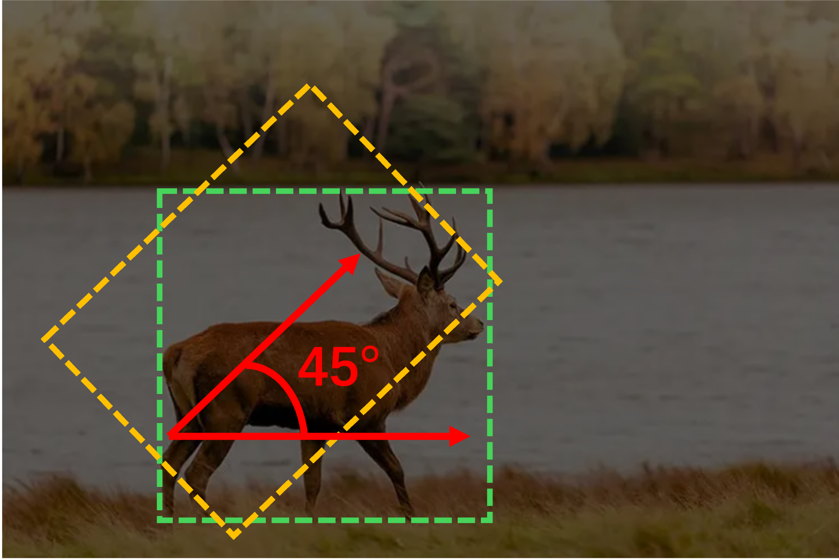 Rotation Manipulation add19 case2