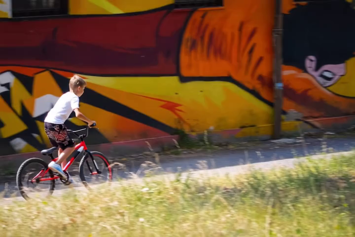 Translation target bmx trees