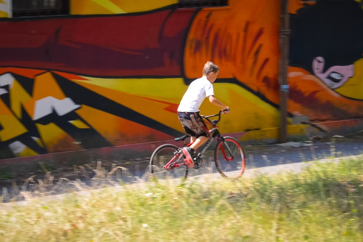 Translation original bmx trees