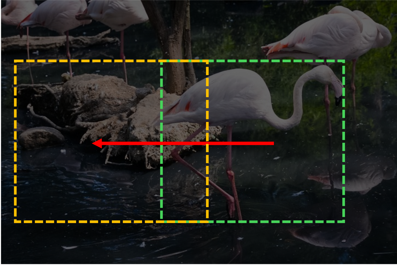 Translation Manipulation flamingo